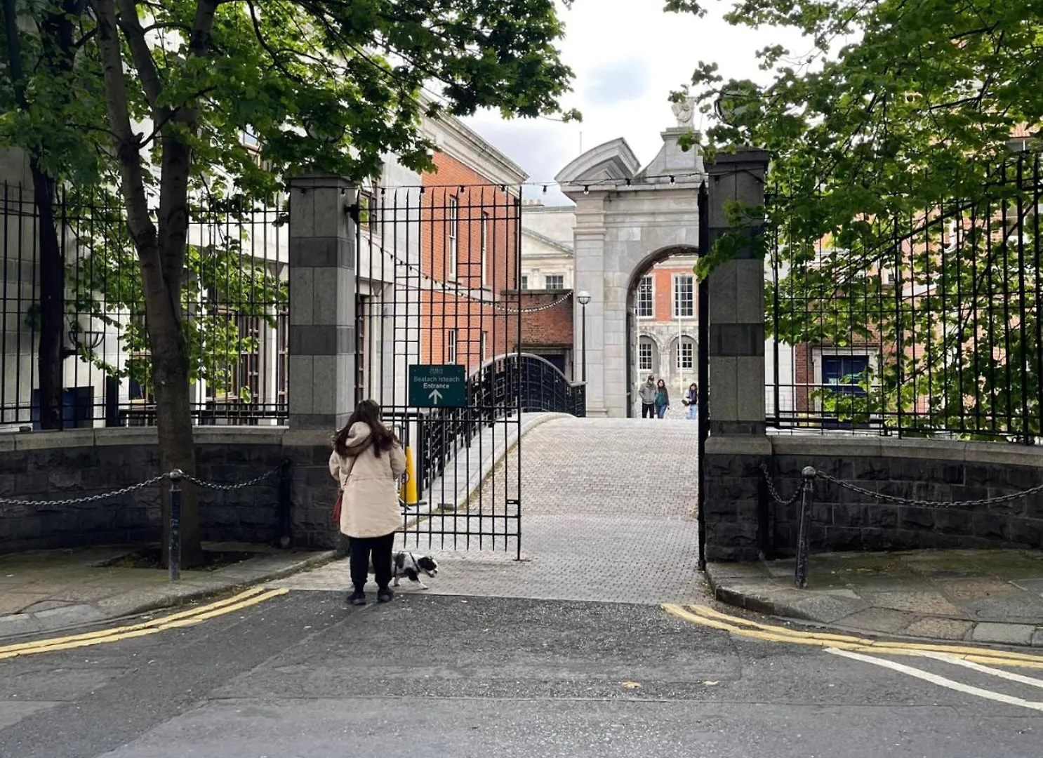 Apartment Apt Castle Street Dublin